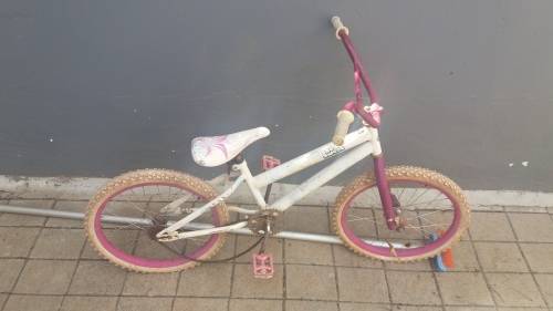 20' Girls Bicycle