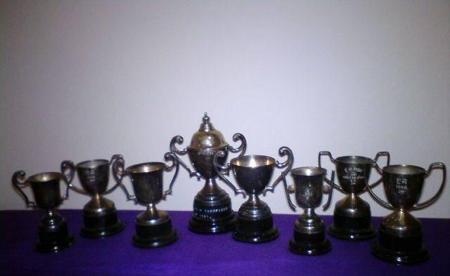 Collection of 8 Small Silver Plated Trophies (egg cup size)