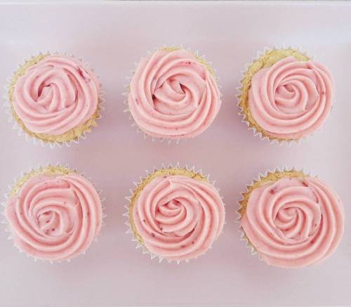cake decorating kit