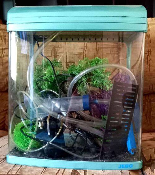 Jebo Fish Tank (50 Litre) with in-built filter + Decor, Accessories etc