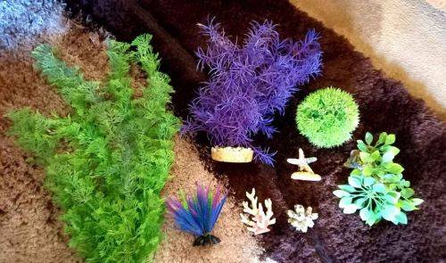 Jebo Fish Tank (50 Litre) with in-built filter + Decor, Accessories etc