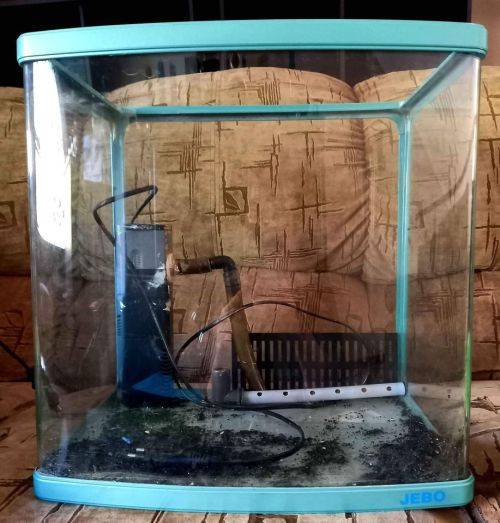 Jebo Fish Tank (50 Litre) with in-built filter + Decor, Accessories etc