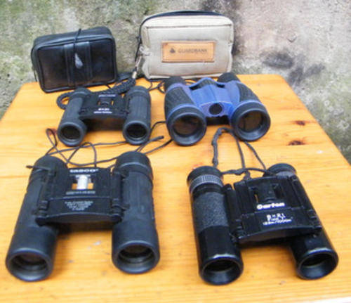 4 Pairs of Binoculars (Tasco 10x25, Carton 8x21, Swallow 8x21, etc)- ALL for 1 Bid!