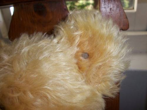 Steiff Baerle Bear- Limited Edition - 43 PAB 1904 404153 - No 683 - 59cm tall - 1.1kg