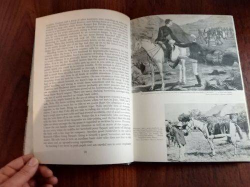 TAKE A HORSE TO THE WILDERNESS - Nick Steele