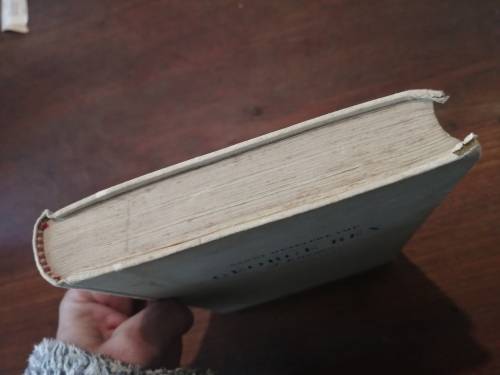 GEORGE REX OF KNYSNA - Sanni Metelerkamp