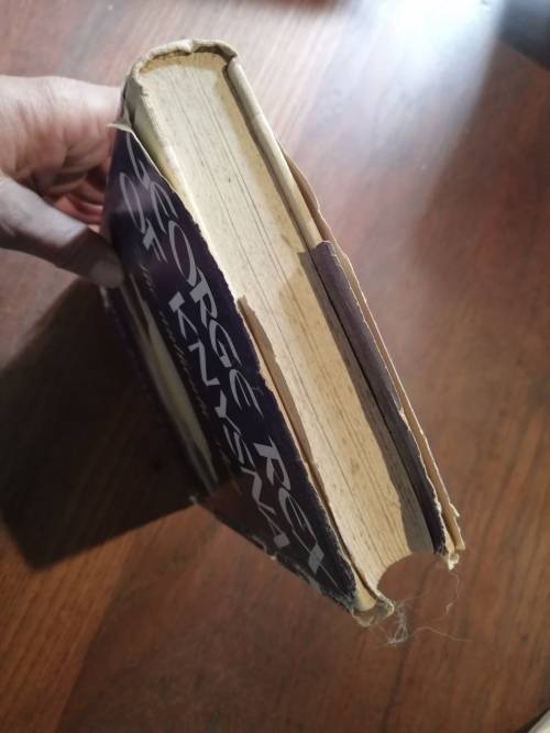 GEORGE REX OF KNYSNA - Sanni Metelerkamp