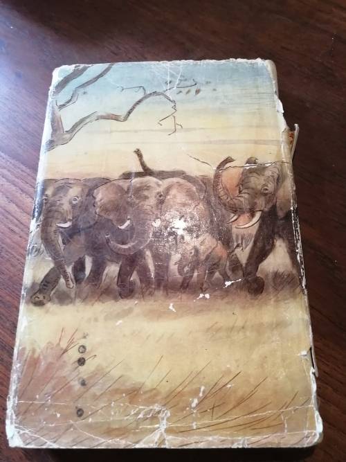 THE IVORY TRAIL - TV Bulpin