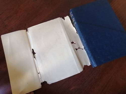 LETTERS FROM THE CAPE BY LADY DUFF GORDON - Annotated by Dorothea Fairbridge