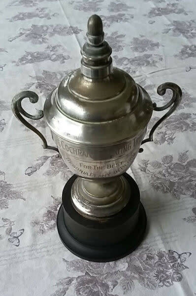 Large (40cm in height) 1950s Trophy for the Best Begonia in Bloom