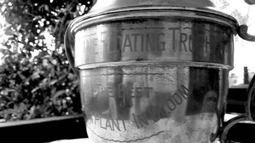 Large (40cm in height) 1950s Trophy for the Best Begonia in Bloom