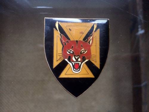 7 SAI Shoulder Flash