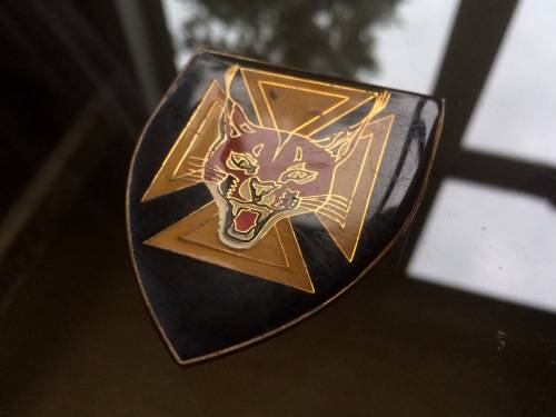 7 SAI Shoulder Flash