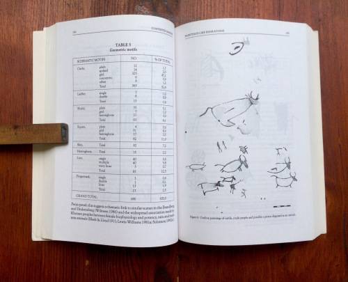 Contested Images - Diversity in Southern African Rock Art Research by Thomas Dowson & Lewis-Williams