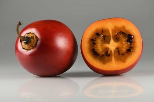 TOMATO TREE /TAMARILLO CYPHOMANDRA BETACEA  x 15 seeds