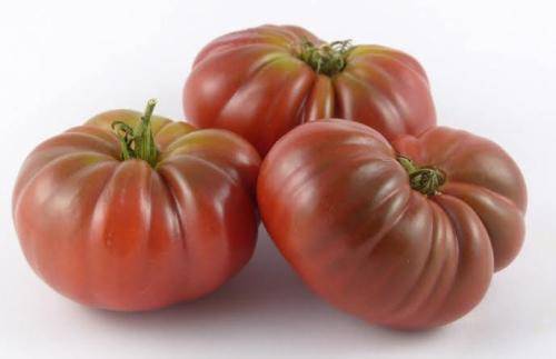 PURPLE REIGN TOMATO x 15 seeds