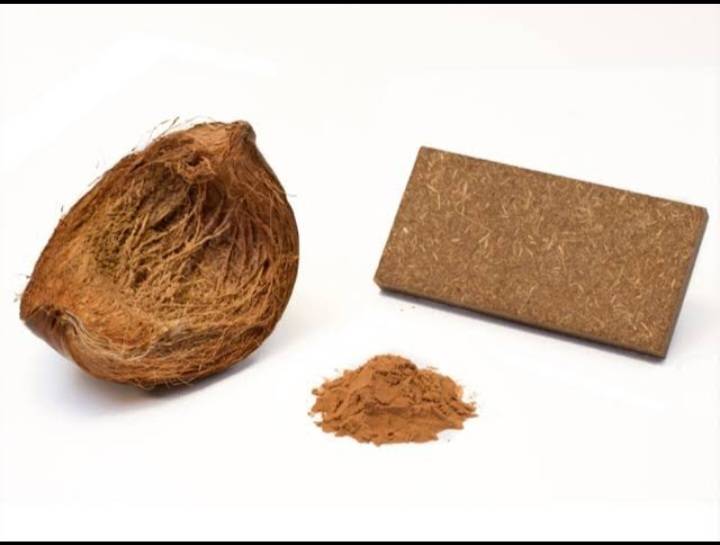 COCON COIR 320g makes 5 litre in grow bagx1