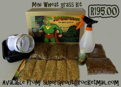 Mini Wheat grass kits