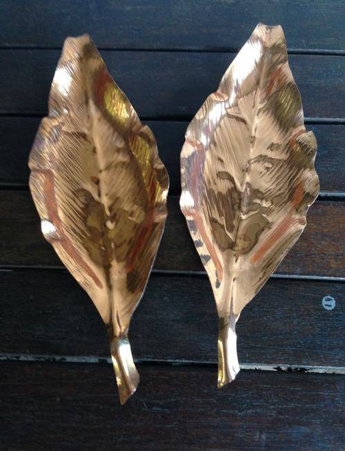 2 LARGE COPPER LEAFS ( RHODESIAN)