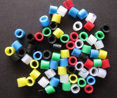 BIRD RINGS