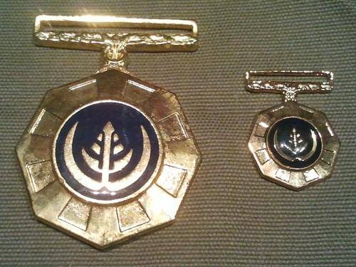 Pro Patria Medal - Full size numbered & miniature - No ribbons