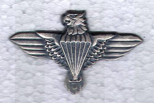 SA Army 44 Parachute Regiment Beret Badge