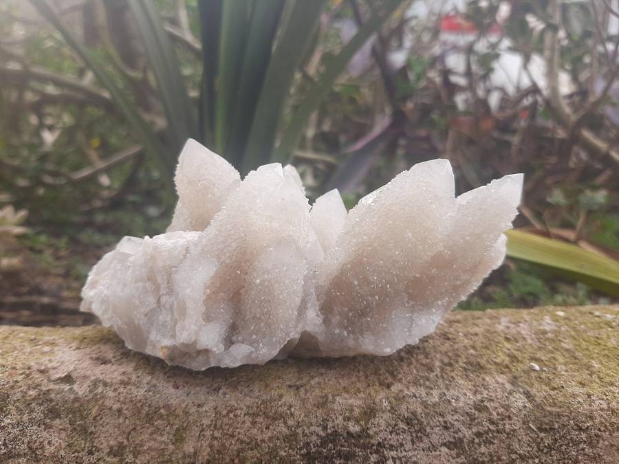 WHITE SPIRIT QUARTZ  CLUSTER 0.320grams