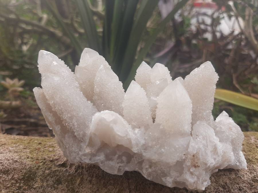 WHITE SPIRIT QUARTZ  CLUSTER 0.320grams