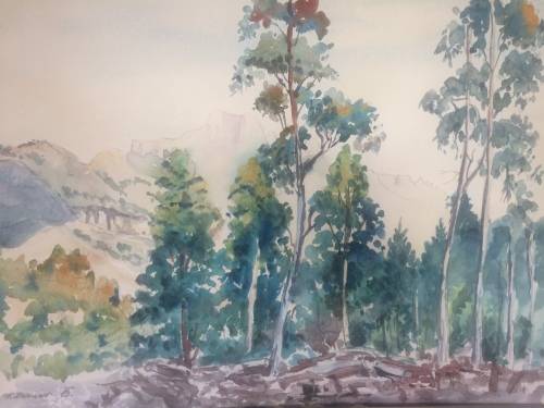 Wow! Fred Bauer - Landscape - A stunning watercolour painting!!
