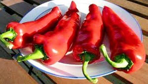 CUBANELLE SWEET PEPPER - 10 SEEDS
