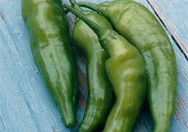 JALAPENO CHILLI SEED KIT