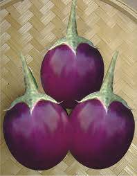 HEIRLOOM VEGETABLE SEEDS - RED BRINJAL (EGGFRUIT) SEED PACK
