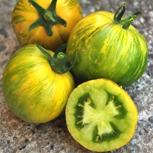 TOMATO VARIETIES - GREEN ZEBRA TOMATO SEEDS