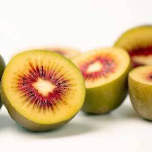 EXOTIC FRUIT  - KIWI ROSE GOLD  -  30 SEEDS