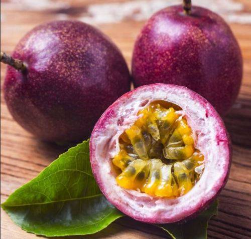 PURPLE PASSION FRUIT   (10 SEEDS)