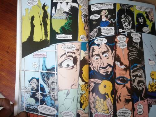 The Sandman by Neil Gaiman.