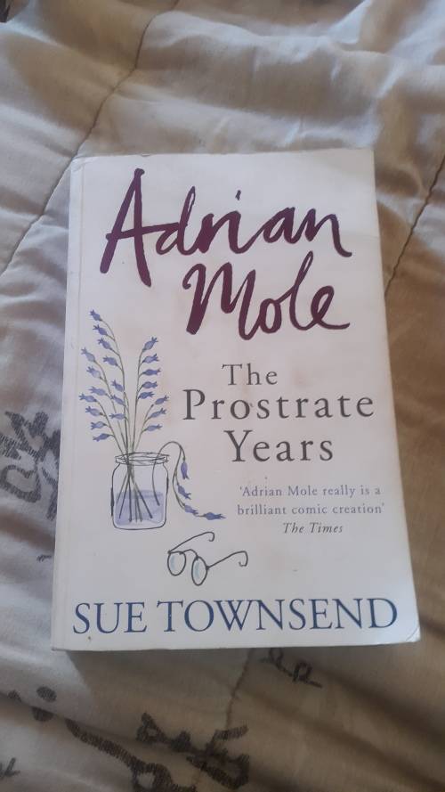 Sue Townsend: Adrian Mole The Prostrate Years