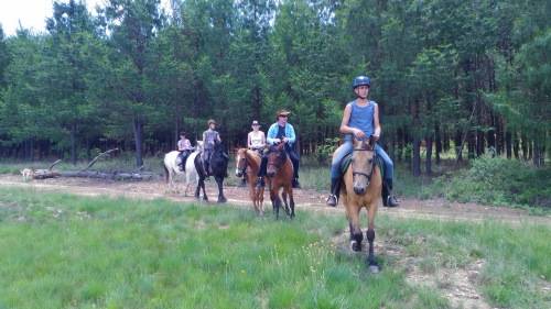 champagne Breakast for 3