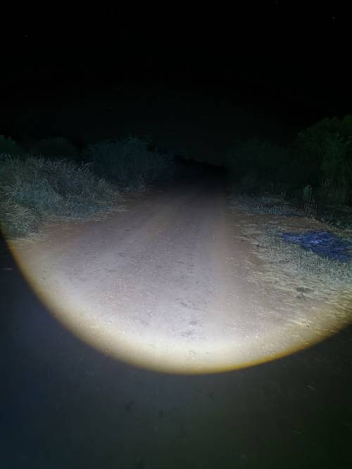 Torch zoom