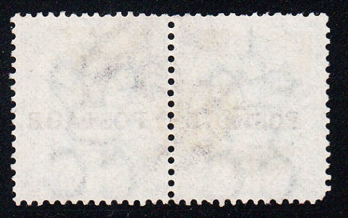 Natal 1876 QV 1s green pair overprinted POSTAGE (CC), used       (SACC 83 , CV R220)