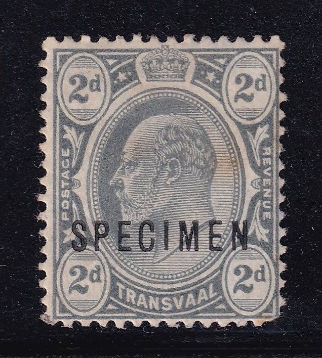 Transvaal 1905-09 KE  2d GREY overprinted SPECIMEN, M/H       (tone spot, scarce, CV R5000)