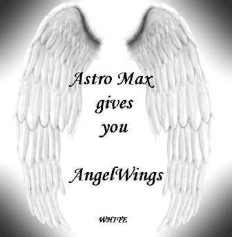 Angel Wings WHITE ideal for Parties, Function and Pride