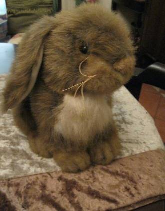 Bunnies Ideal for Easter Gifts for the Children too adorable!!
