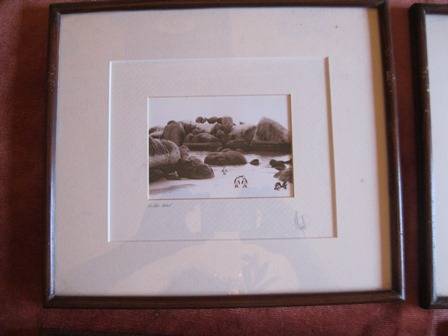 Sephia Photograph Framed Boulders Beach Cape Town