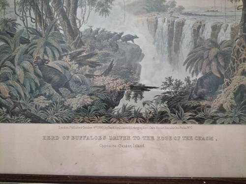 Set of 4 Thomas Baines Lithographs of The Victoria Falls