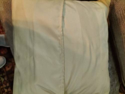 Pair of Chinese Chinoiserie Pattern Scatter Cushions