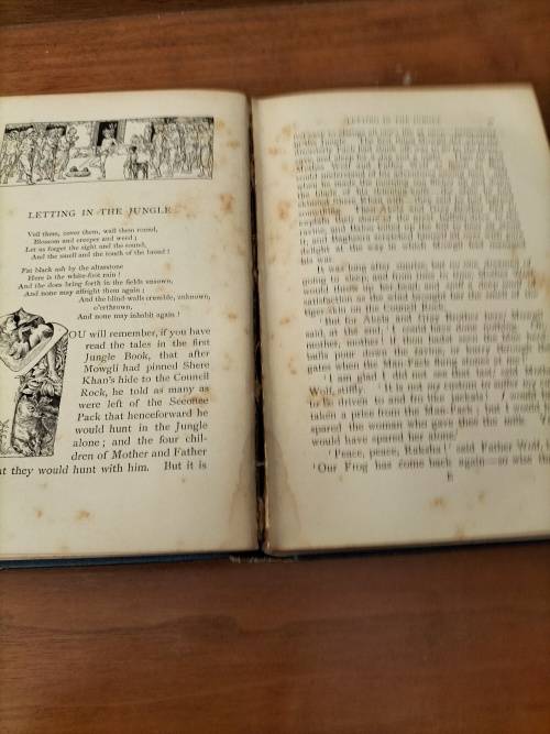 The Second Jungle Book By Rudyard Kipling dated 1895