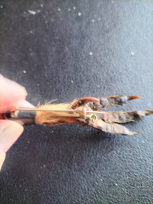 Antique Scottish Grouse Claw Brooch with Citrines and silver trimmings.