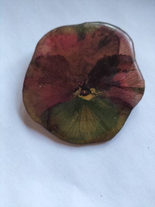 Real Pansy Pressed Flower Resin Brooch