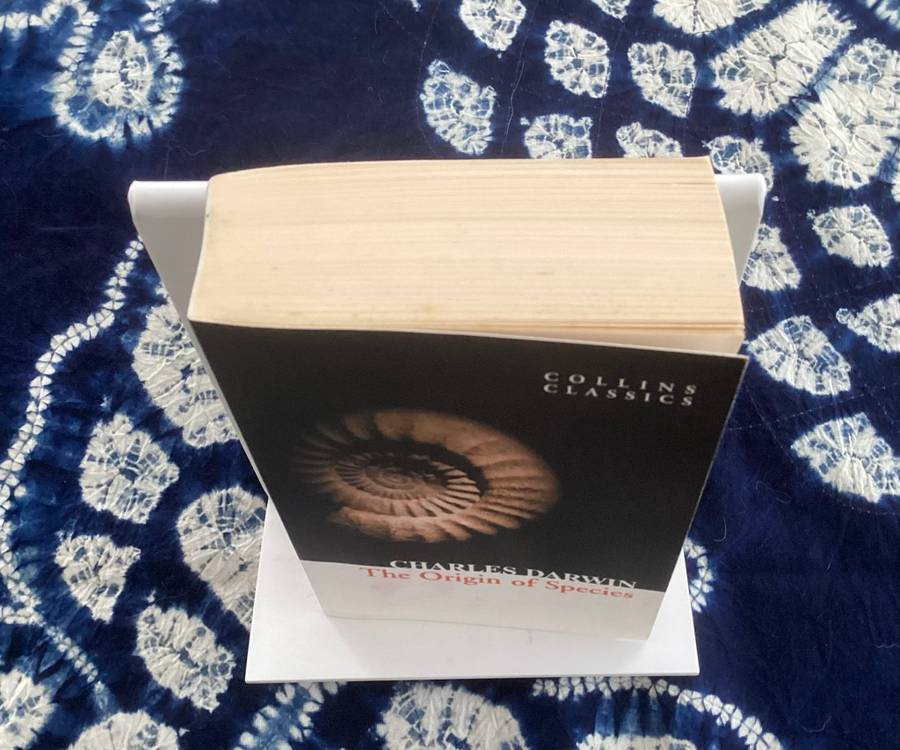 Charles Darwin. The Origin of Species. Collins Classic paperback, New Condition.